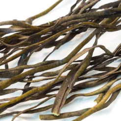 Sea Spagetti EKO 125g