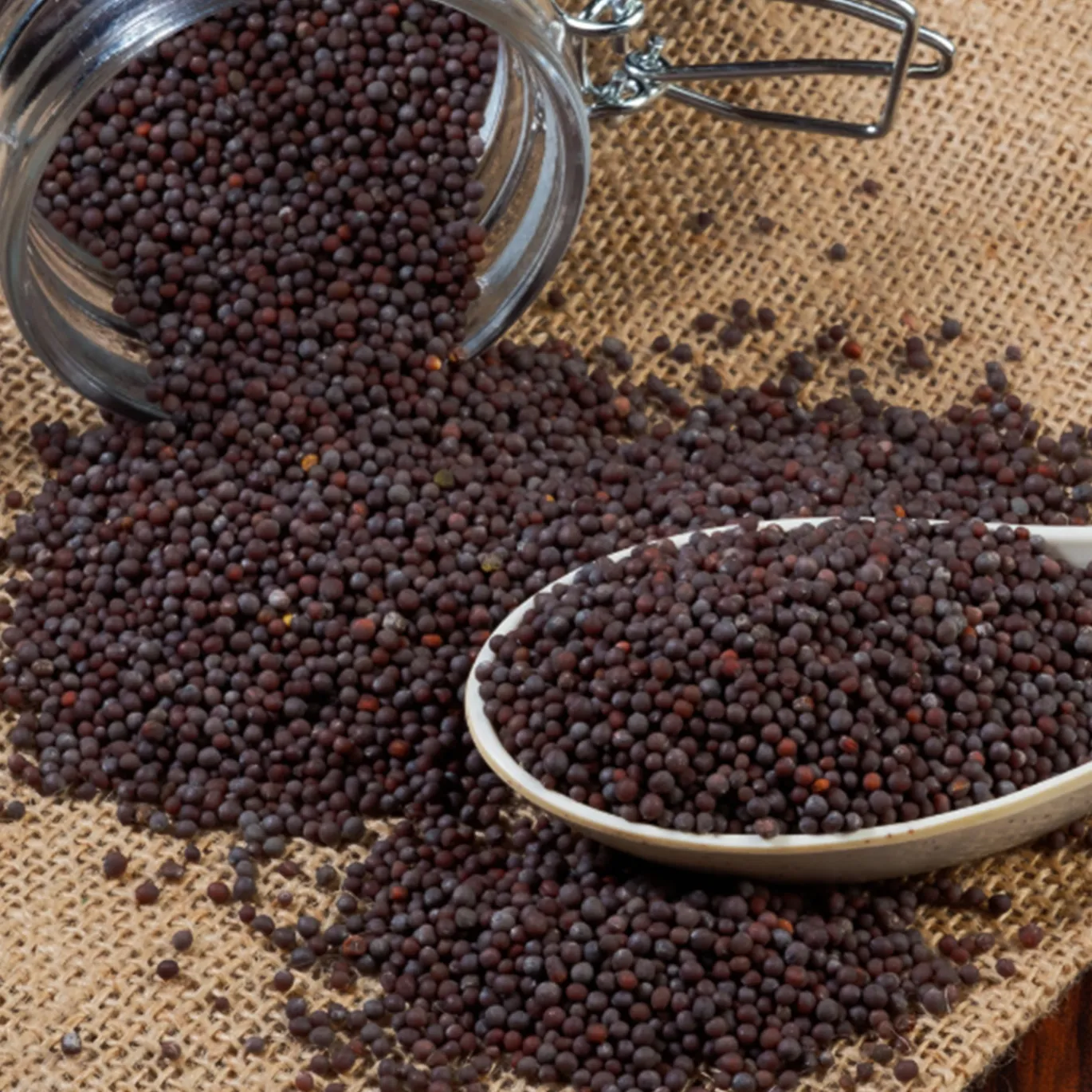 Senapsfrön Svarta EKO 50g