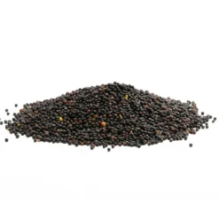 Senapsfrön Svarta EKO 50g