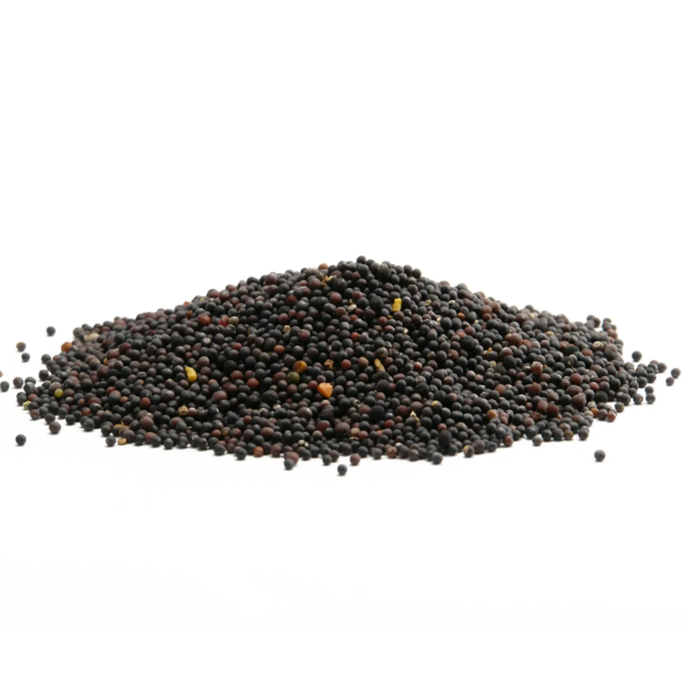 Senapsfrön Svarta EKO 50g