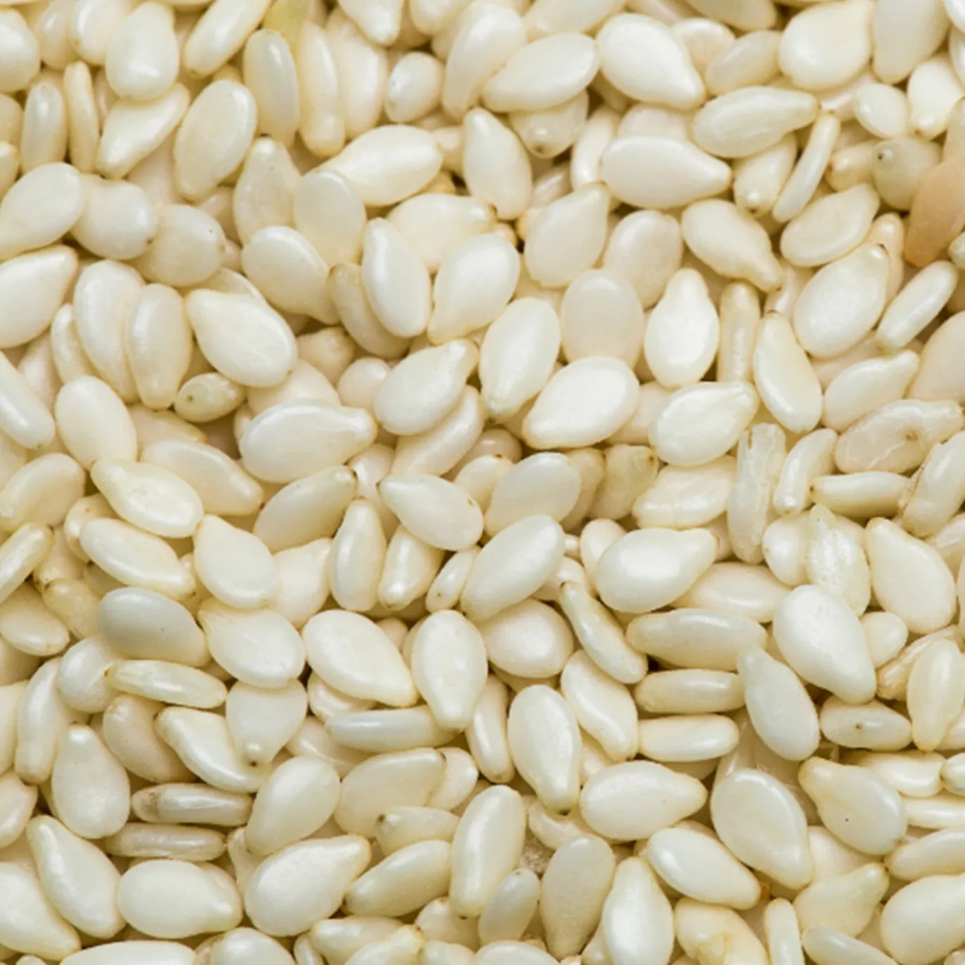 Sesamfrön skalade EKO 1kg