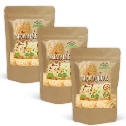 Snow Fungus Hel EKO 125g x 3 paket