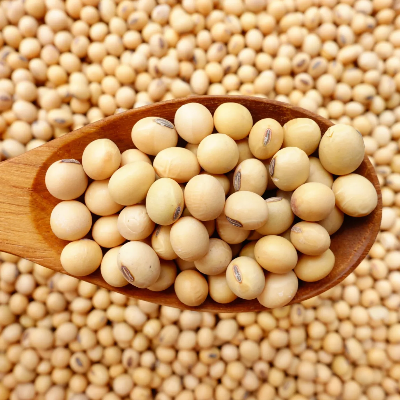 Sojabönor EKO 500g