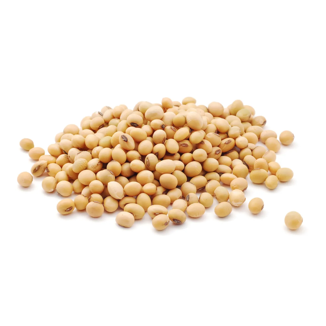 Sojaprotein 90% EKO 500g