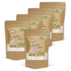 Xylitol Pulver EKO 500g x 5 paket