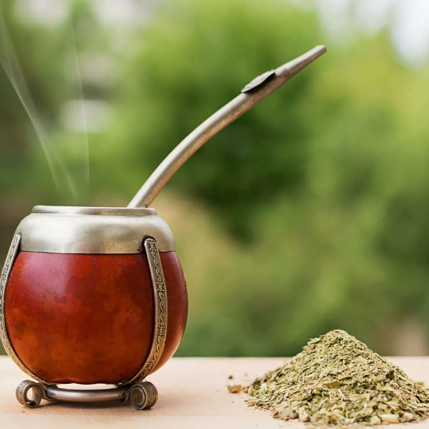 Yerba Mate Te EKO 100g