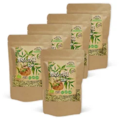 Yerba Mate Te EKO 100g x 5 paket